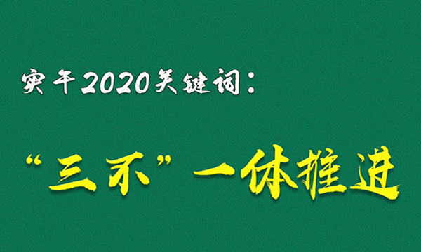 实干2020关键词（七）