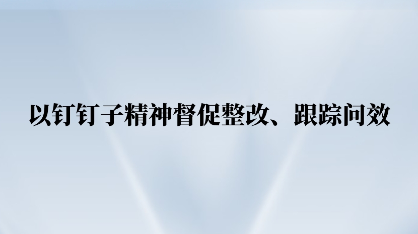 以钉钉子精神督促整改、跟踪问效